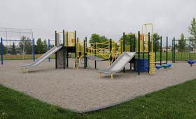 community background