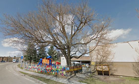 community background